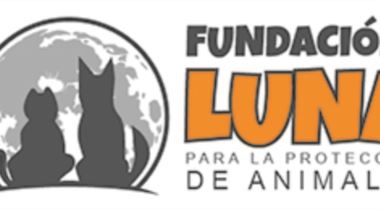 FUNDACIÓN LUNA